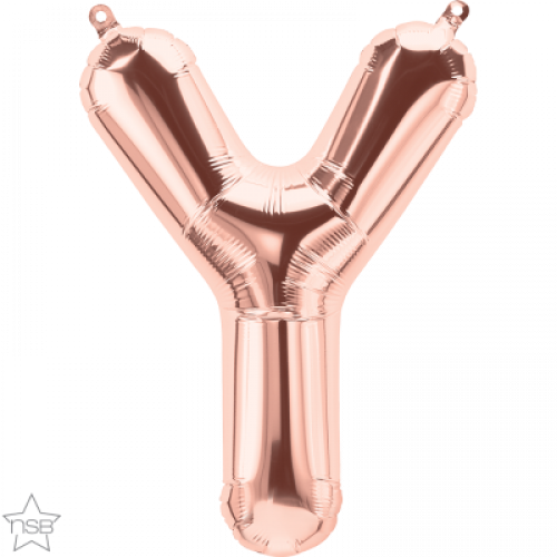 FOIL SMALL LETTER ROSEGOLD (عدد 5 قطع) Y