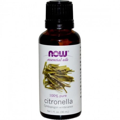 زيت أساسي السترونيلا من شركة ناو فود الأمريكية 30...