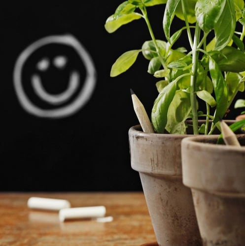 توزيعات أقلام قابلة للزراعة