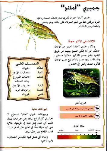 موسوعة الحيوانات - القشريات
