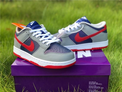 Nike dunk low Sampa 2020