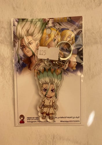 Dr.Stone keychain