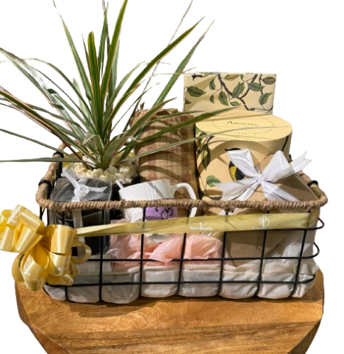 بوكس الشتاء الوسط