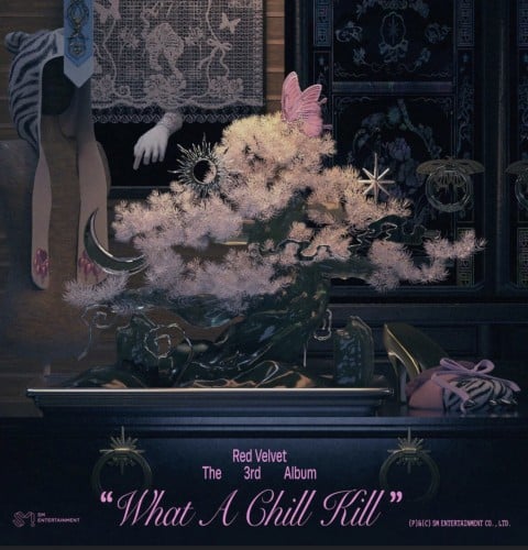 Red velvet what a chill kill نسخه عشوائيه