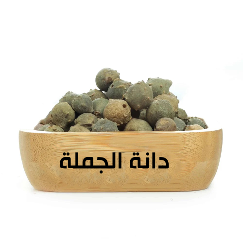 العفـــص