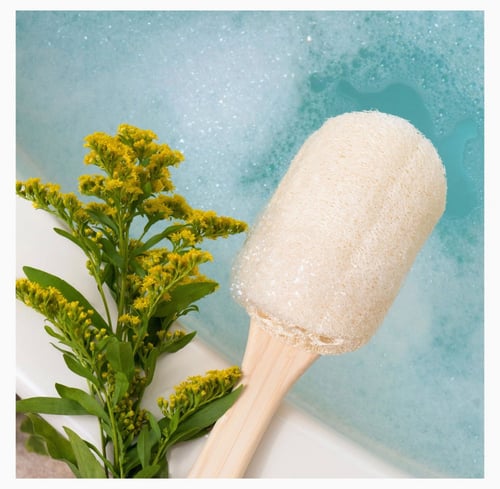 ايكوتولس فرشاة حمام ( لوفه ) بمقبض خشبي