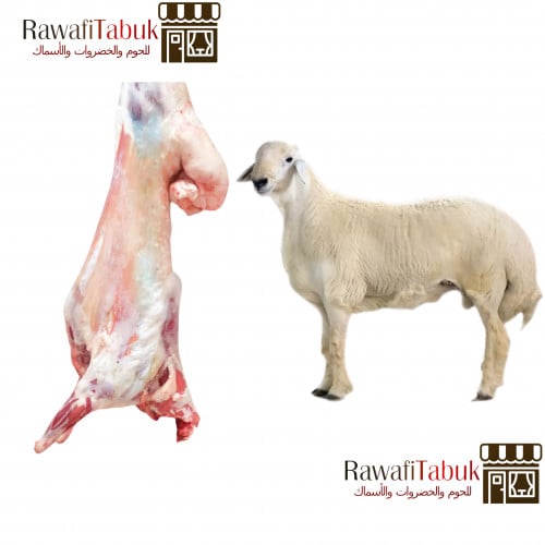 خروف حري كامل