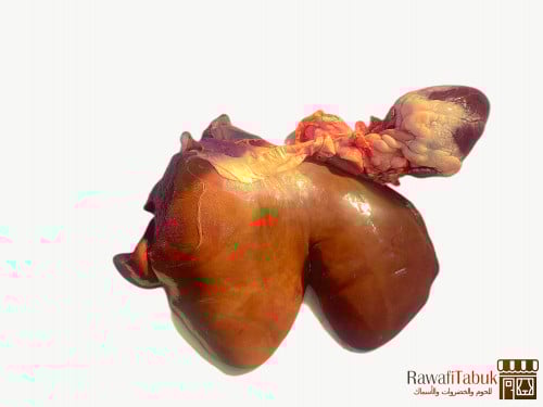 كبدة غنم حجز مسبق تواصل واتس