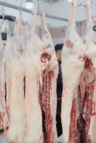 طلب خاص حفلة او مناسبة