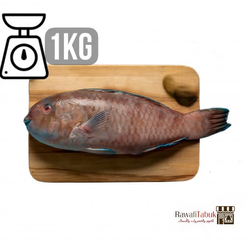 سمك حريد طازج