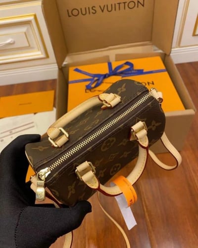 LV SPEEDY 20 Bag