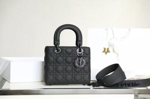 SMALL LADY DIOR BAG