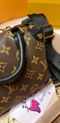 LV Petite Malle Bag