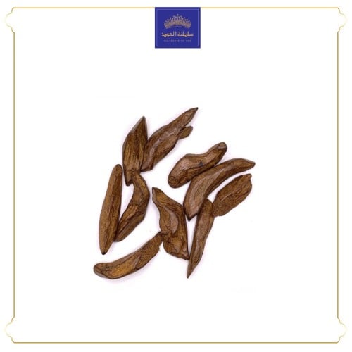 عود السلطنة الموروكي (محسن بيور)