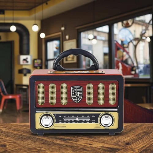 راديو DENX DX2441 بصوت HiFi وبلوتوث وراديو FM وتشغ...