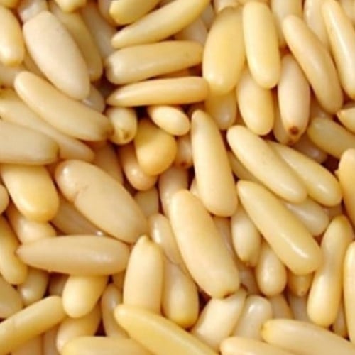 صنوبر باكستاني