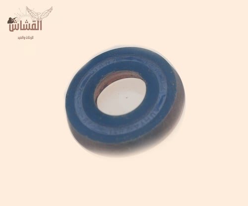 جلدة 60 ديانا