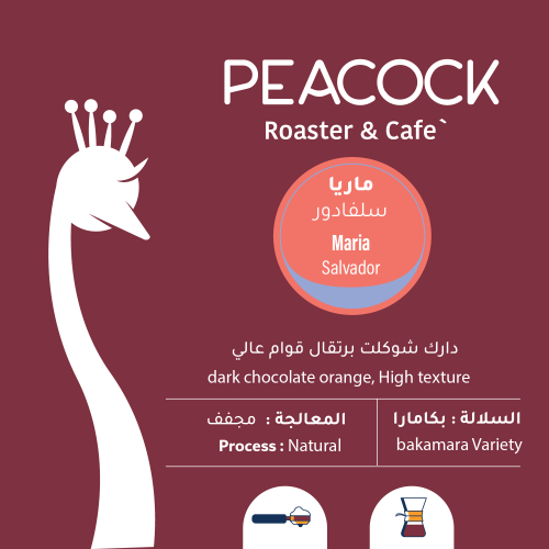 محمصة الطاووس - ماريا - سلفادور 250ج