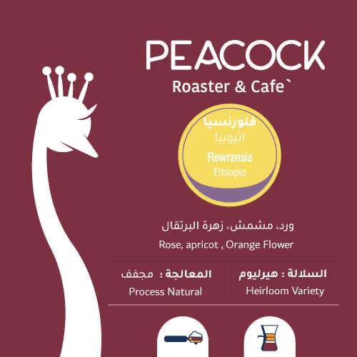 محمصة الطاووس - فلورنسيا - إثيوبيا 250ج