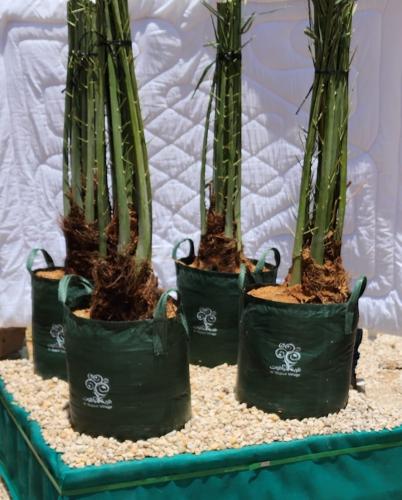 أكياس زراعية كبيرة للأشجار حجم 50 لتر