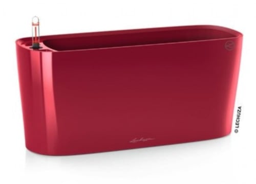 حوض نبات الماني ذاتي الري Lechuza Delta Premium Ta...