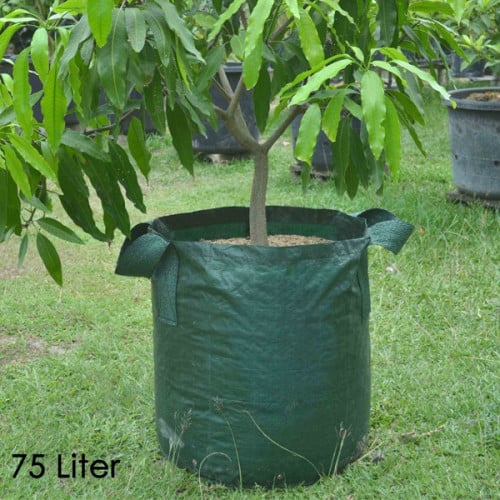 أكياس زراعية كبيرة للأشجار حجم 75 لتر