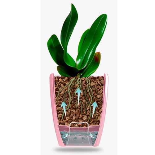 حوض أوركيد Orchidea-Twin ري ذاتي