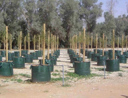 أكياس زراعية كبيرة للأشجار 300 لتر