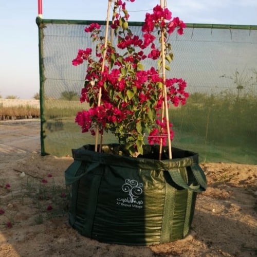 أكياس زراعية كبيرة للأشجار 1000 لتر