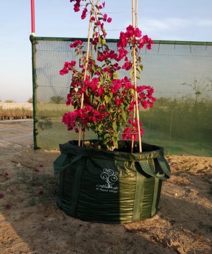 أكياس زراعية كبيرة للأشجار 500 لتر