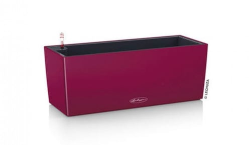 حوض نبات ري ذاتي الماني Lechuza Balconera Color