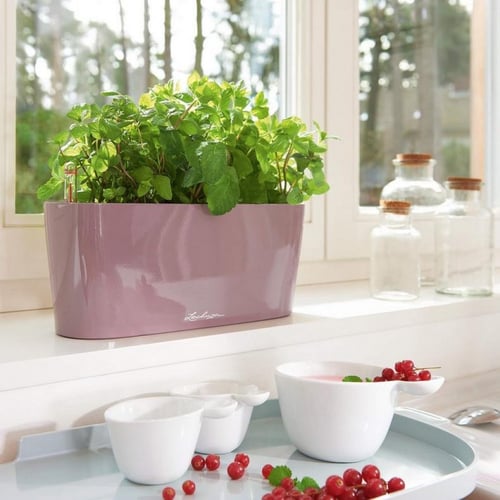 حوض نبات الماني ذاتي الري Lechuza Delta Premium Ta...