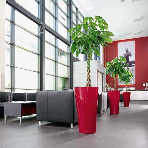 حوض نبات الماني ذاتي الري Lechuza Delta premium