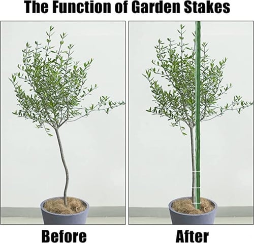 سنادات معدنية لتدعيم النباتات