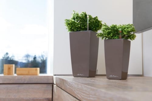 حوض نبات الماني ذاتي الري Lechuza Mini Cubi Premiu...