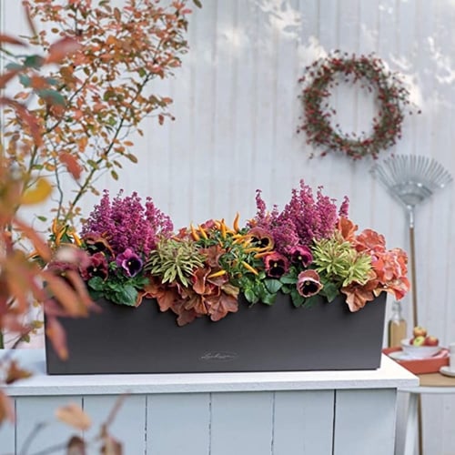 حوض نبات ري ذاتي الماني Lechuza Balconera Color