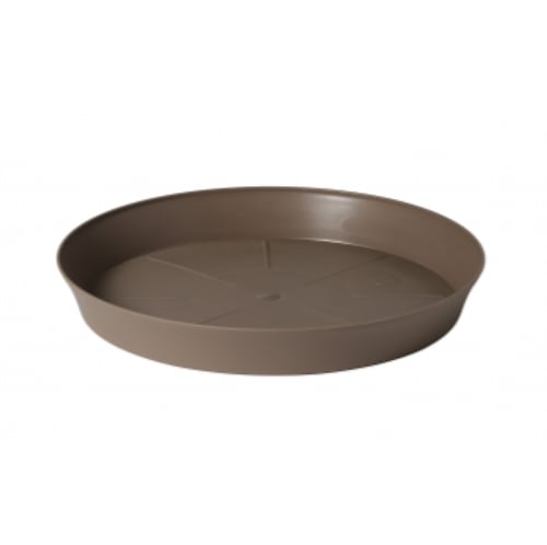 صحن Export دائري