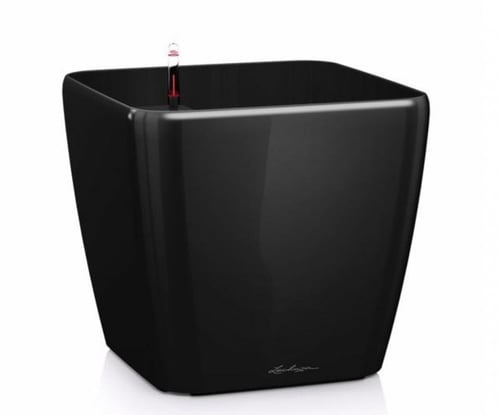 حوض نبات الماني ذاتي الري ماركة Lechuza نوع Quadro...