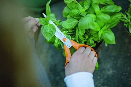 مقص الحدائق العالمي S90 طول 21سم من FISKARS