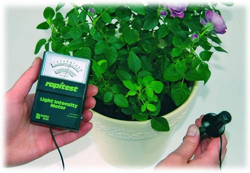 مقياس شدة الإضاءة