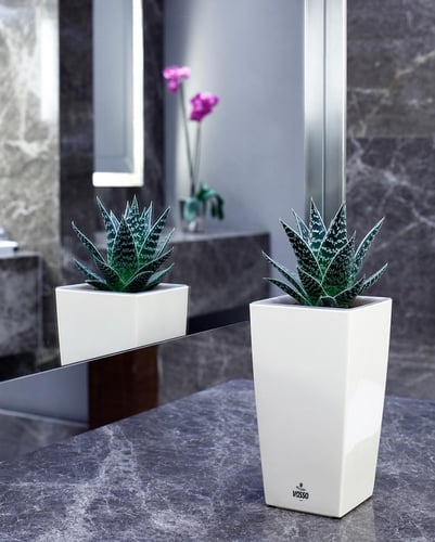 حوض Vina ري ذاتي - 10سم