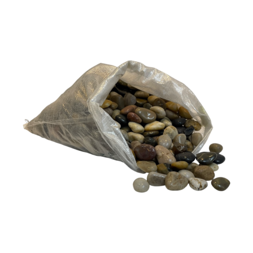 حصى مشكل ديكور نباتات