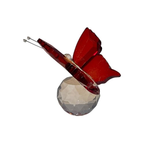 فراشة زجاجية