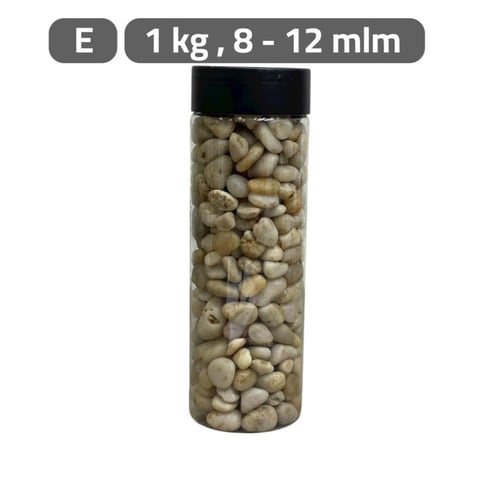 حصا اكسسوارات نباتات