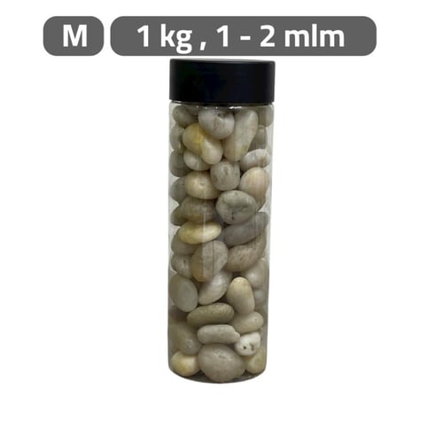 حصا اكسسوارات نباتات