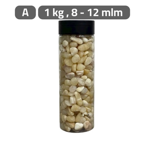 حصا اكسسوارات نباتات