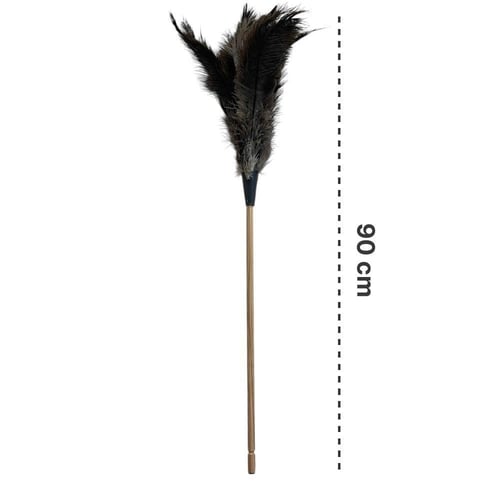 ريش نعام منفضة