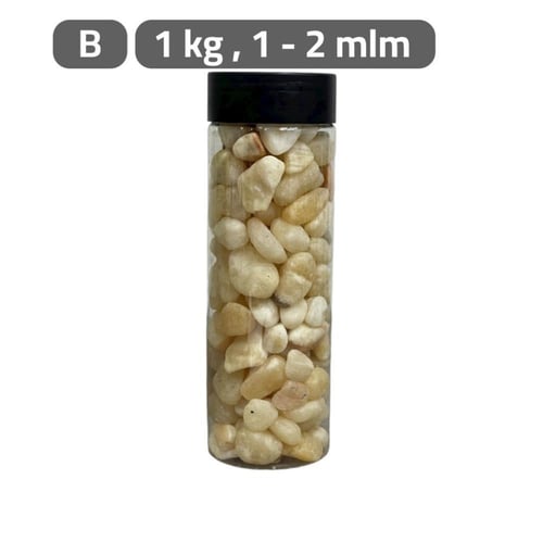 حصا اكسسوارات نباتات