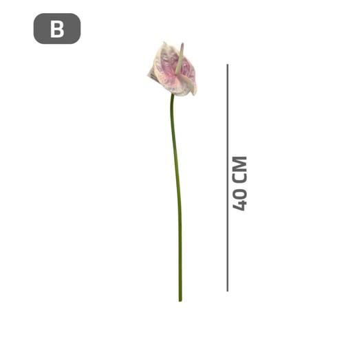 ورد انتريوم