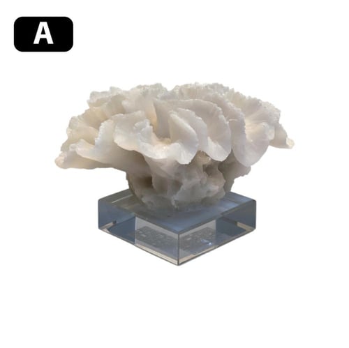 تحفة رخامية فخمة ميني